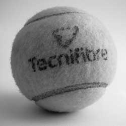 电话轰炸机网页版